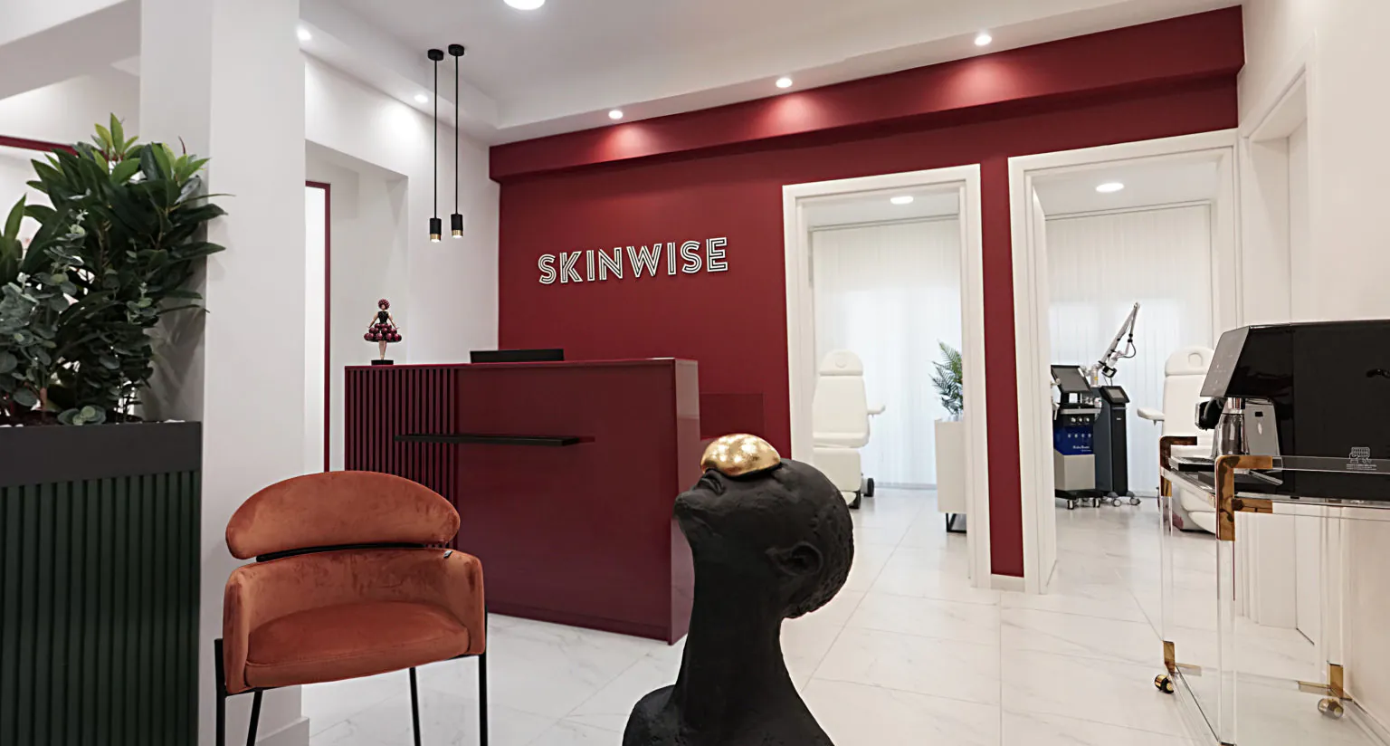 The reception of the Skinwise practice